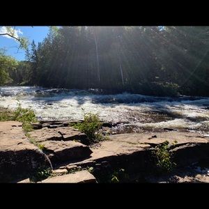 Meet your Posher, Elaine